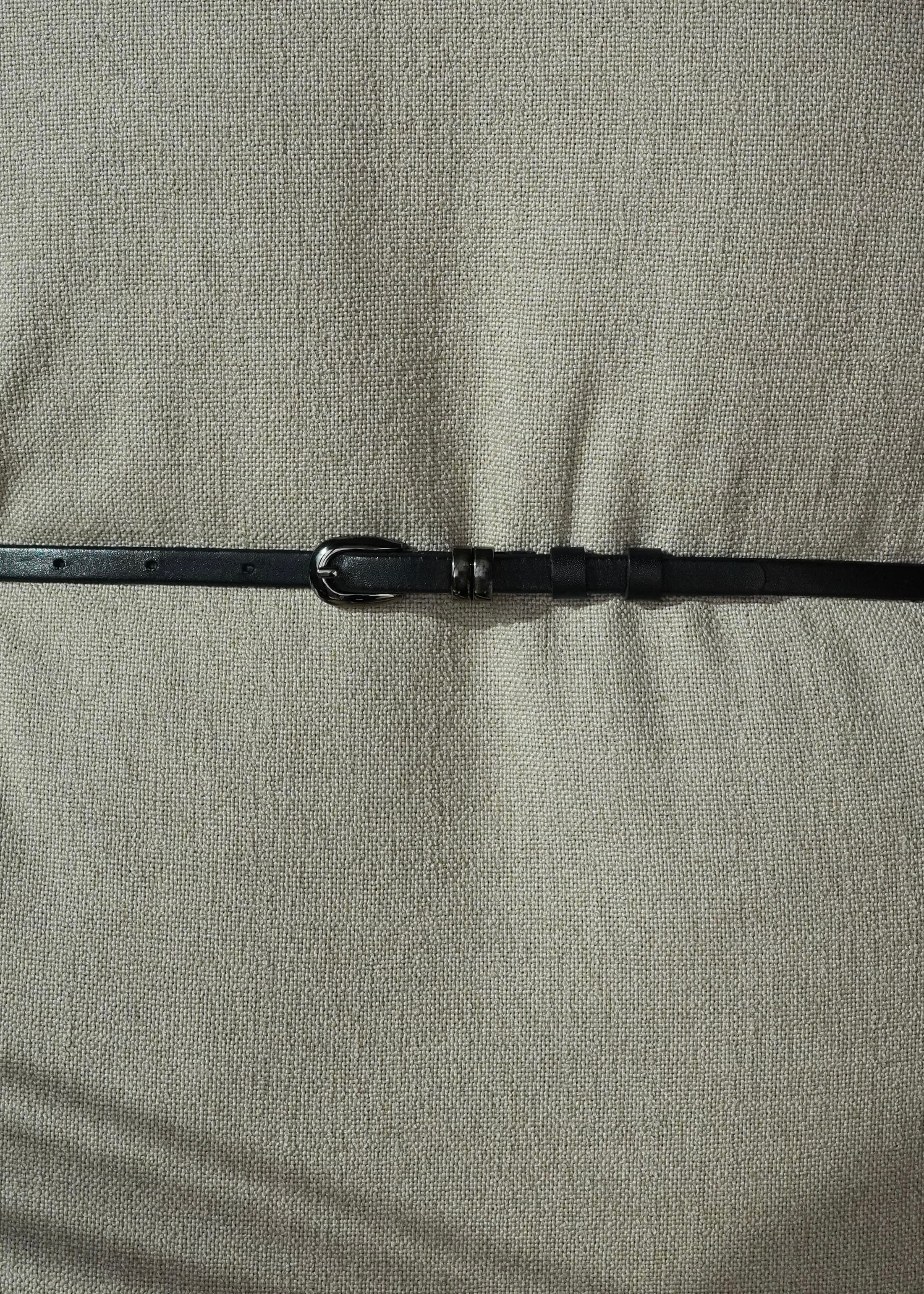 LINEA Belt- Obsidian Black/Polished Steel image