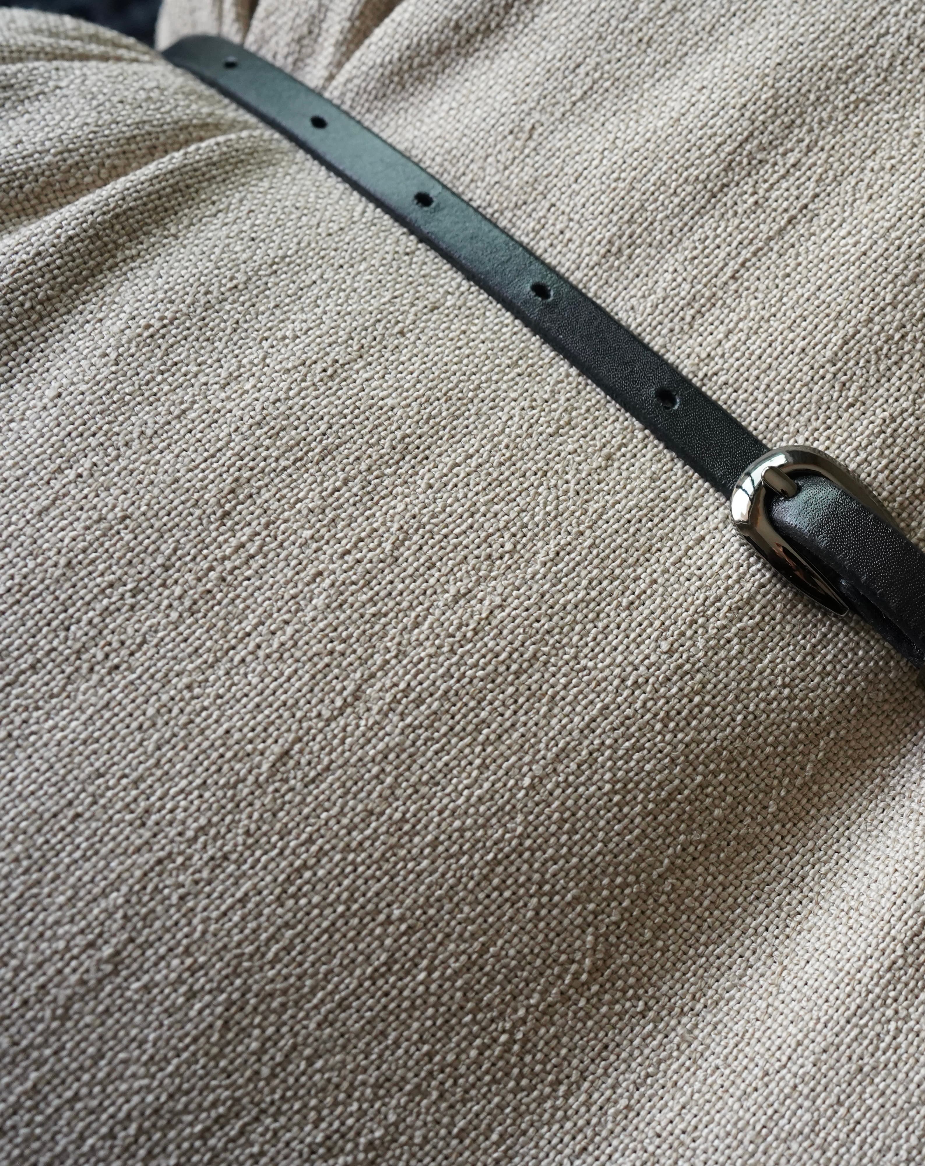 LINEA Belt- Obsidian Black/Polished Steel image